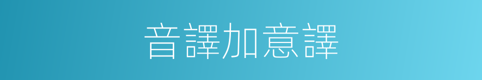 音譯加意譯的同義詞