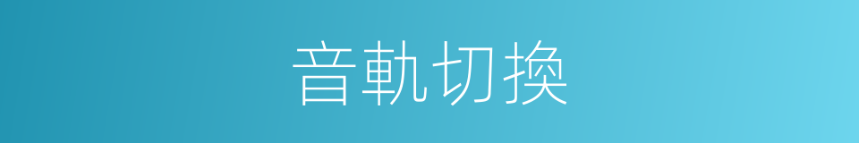 音軌切換的同義詞