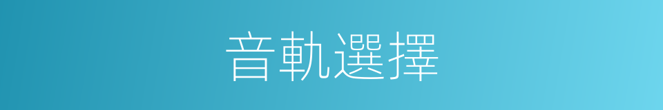 音軌選擇的同義詞