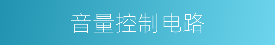 音量控制电路的同义词
