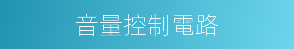 音量控制電路的同義詞