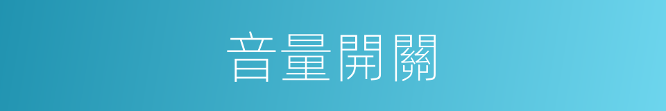音量開關的同義詞
