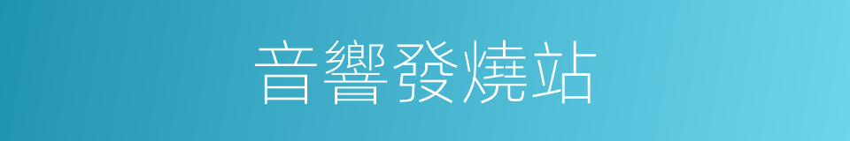 音響發燒站的同義詞