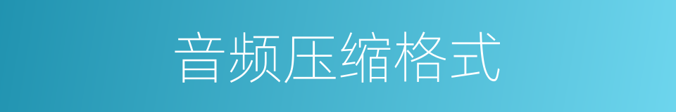 音频压缩格式的同义词