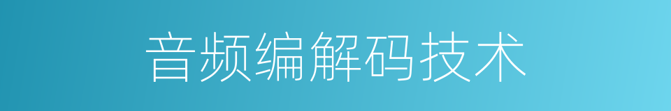 音频编解码技术的同义词