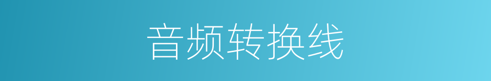音频转换线的同义词