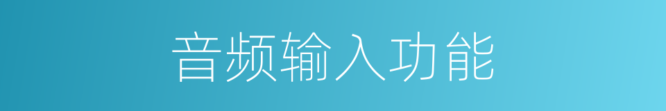 音频输入功能的同义词