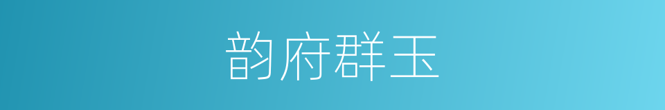 韵府群玉的同义词