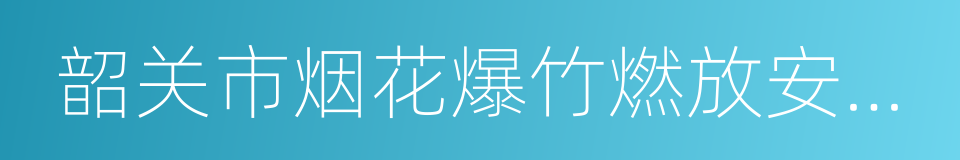 韶关市烟花爆竹燃放安全管理条例的同义词