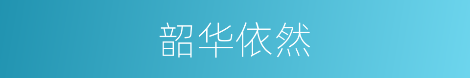 韶华依然的同义词