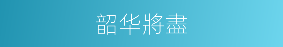 韶华將盡的同義詞