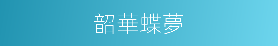 韶華蝶夢的意思