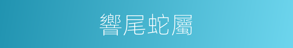 響尾蛇屬的同義詞