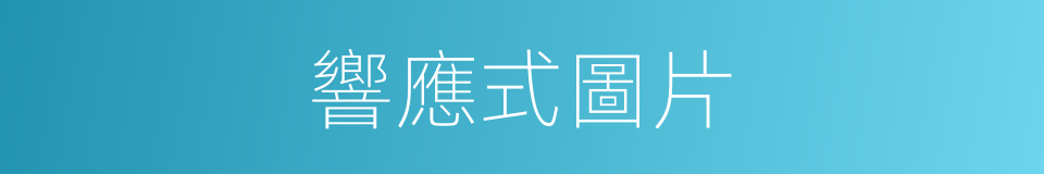 響應式圖片的同義詞