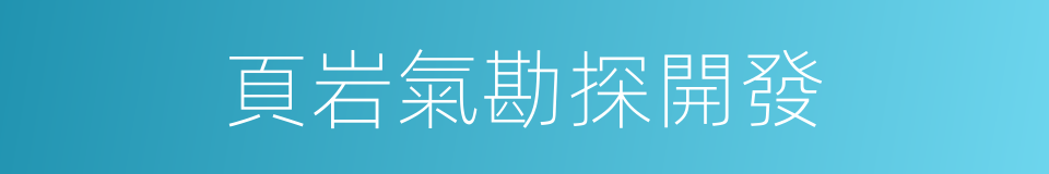 頁岩氣勘探開發的同義詞