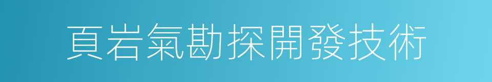 頁岩氣勘探開發技術的同義詞