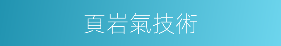 頁岩氣技術的意思