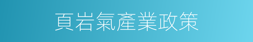 頁岩氣產業政策的同義詞