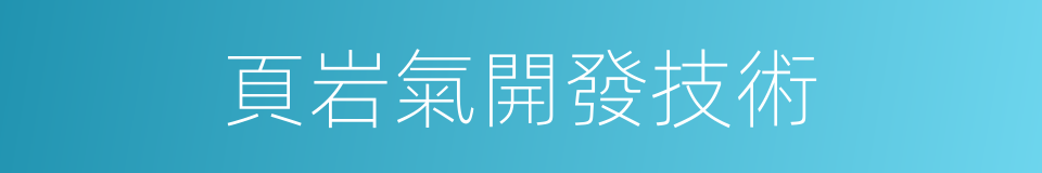 頁岩氣開發技術的同義詞