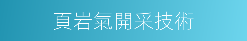 頁岩氣開采技術的同義詞