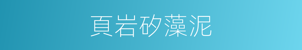 頁岩矽藻泥的同義詞