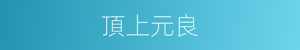 頂上元良的意思