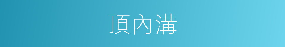 頂內溝的同義詞