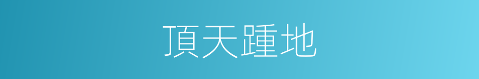 頂天踵地的同義詞