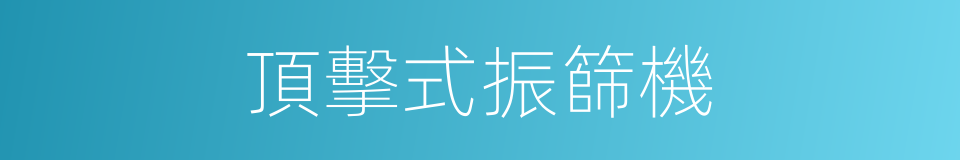 頂擊式振篩機的同義詞