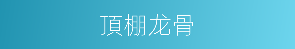 頂棚龙骨的同義詞