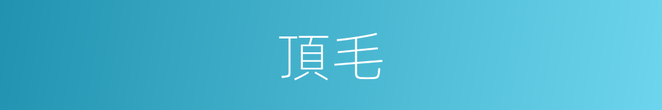 頂毛的意思