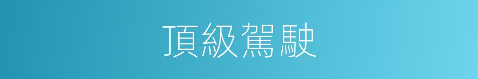 頂級駕駛的同義詞