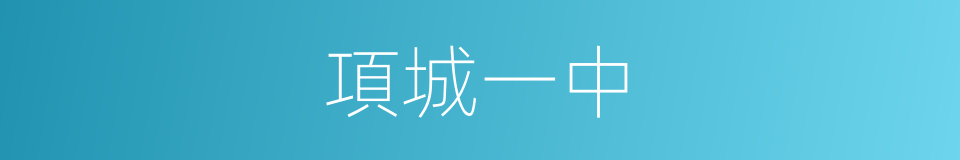 項城一中的同義詞