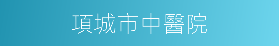 項城市中醫院的同義詞