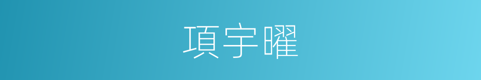 項宇曜的同義詞
