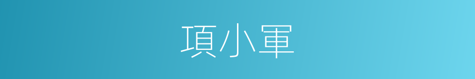 項小軍的同義詞