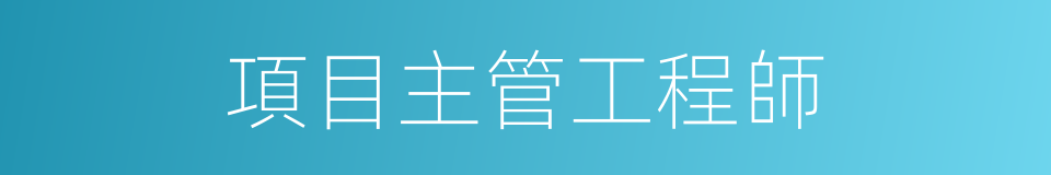 項目主管工程師的同義詞