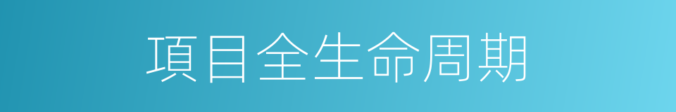 項目全生命周期的同義詞