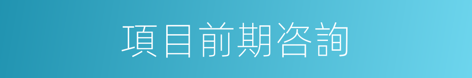 項目前期咨詢的同義詞