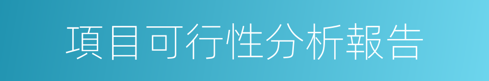 項目可行性分析報告的同義詞