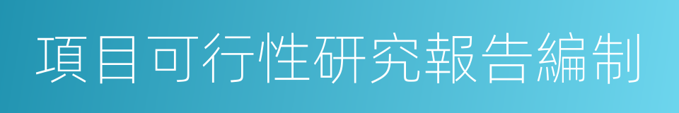 項目可行性研究報告編制的同義詞