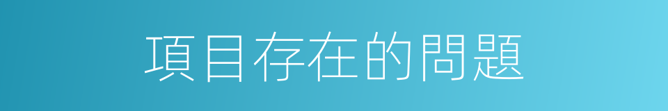 項目存在的問題的同義詞