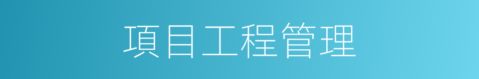 項目工程管理的同義詞