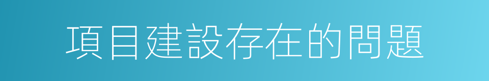 項目建設存在的問題的同義詞