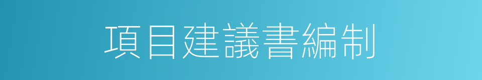 項目建議書編制的同義詞