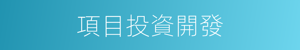 項目投資開發的同義詞