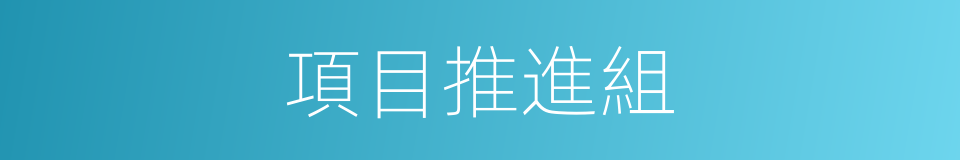 項目推進組的同義詞