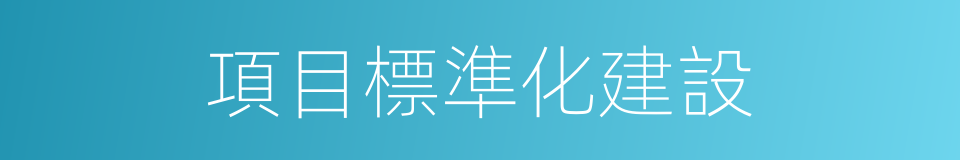 項目標準化建設的同義詞