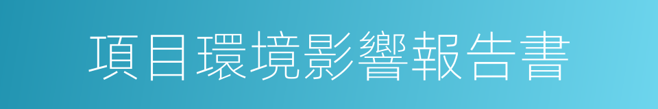 項目環境影響報告書的同義詞