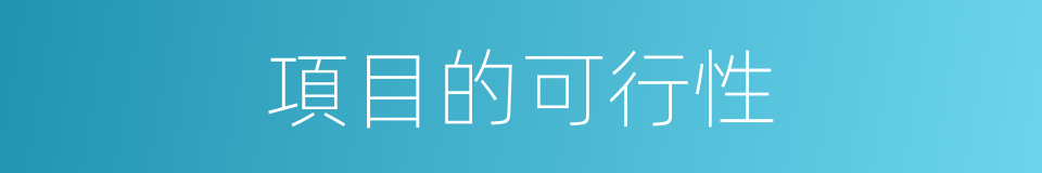 項目的可行性的同義詞